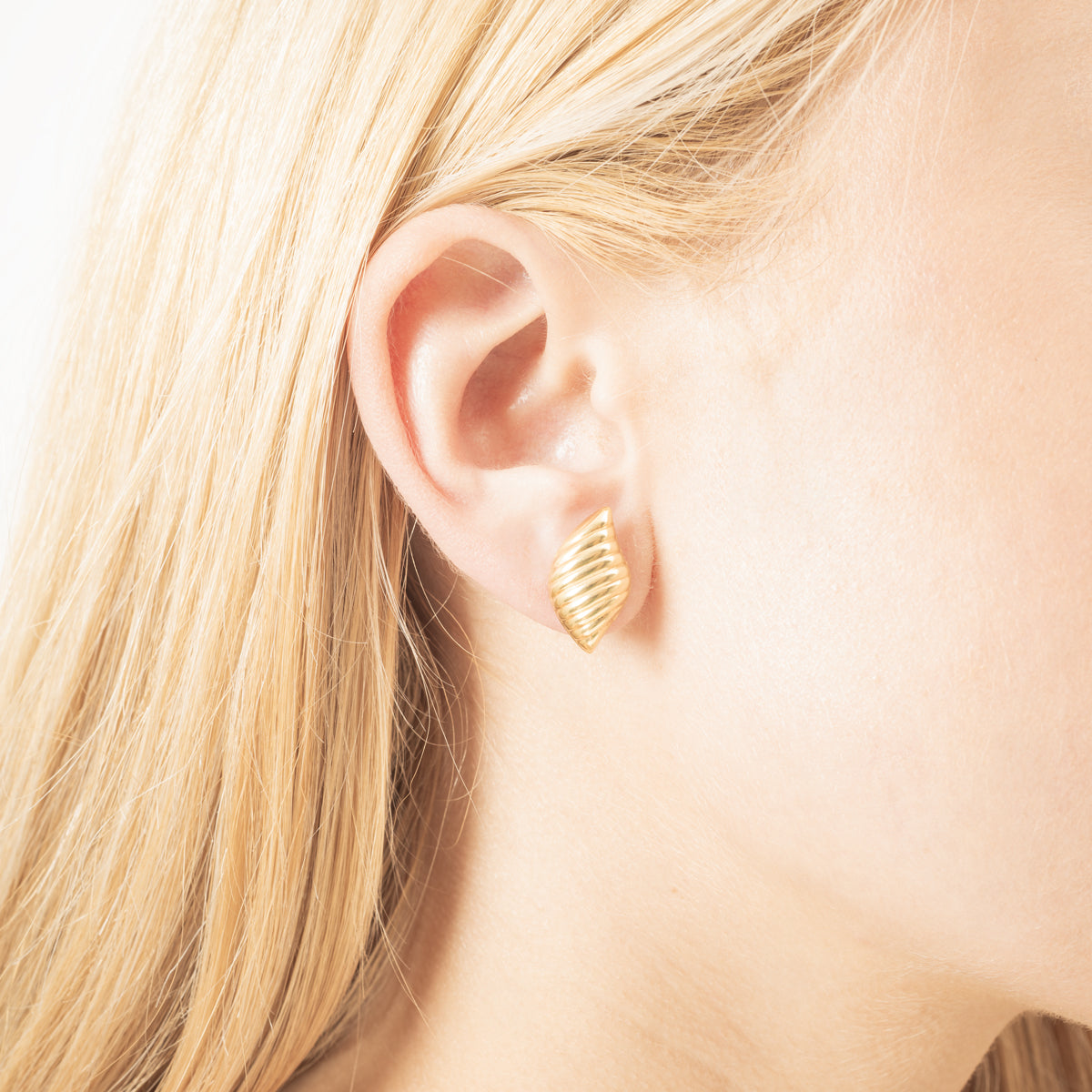 gid://shopify/Product/15504931488128_2